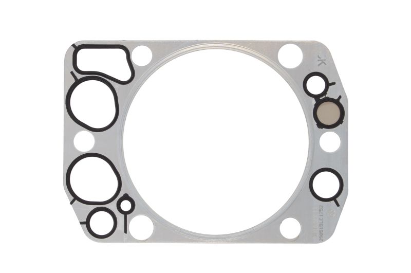 Прокладка головки блока Mercedes OM-421 30-026235-30