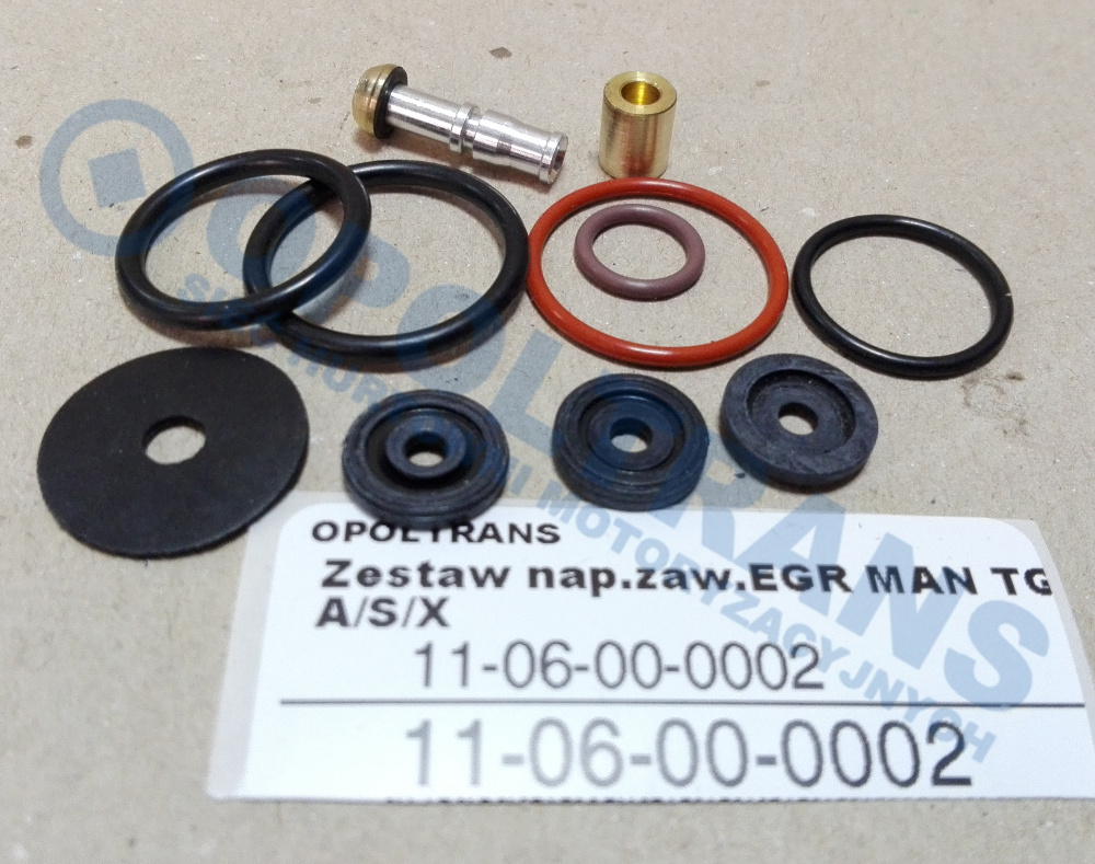 Ремкомплект крана EGR MAN TGA-S-X 11-06-00-0002