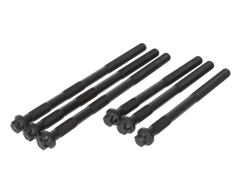 Комплект болтів головки блока MAN TGA D2866/76 M15x2x198/260 20080228767