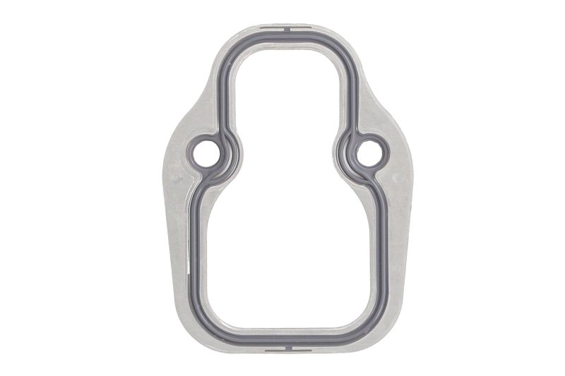 Прокладка впускного колектора Mercedes OM-422 896.365