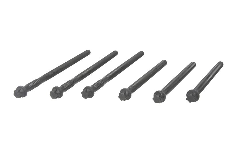 Комплект болтов головки блока MAN TGA D2866/76 M15x2x198/260 015.920