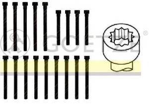 Комплект болтов головки блока Mercedes OM601 M10x1.5 22-26069B