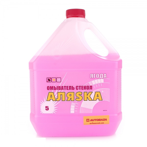 Омивач скла Літній Ягода 5л 999731