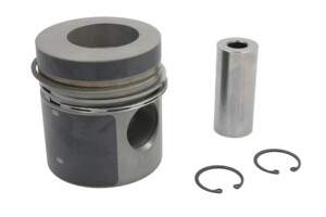 Поршень Mercedes OM-364LA-366LA std 93831606