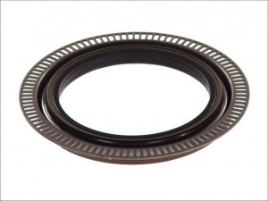 Сальник ступицы MAN F2000 зад 135x175x18 009.310