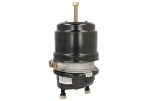 Энергоаккумулятор 22/24 DAF диск. 05-BCT22/24-W01