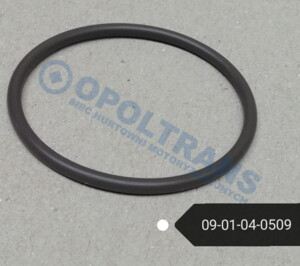 Прокладка насоса ГУР Mercedes Axor, MAN TGX 09-01-04-0509
