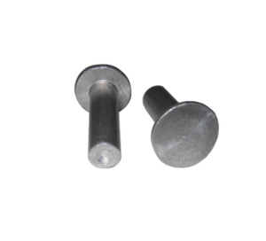 Заклепки тормозных накладок d6x20-100 шт Z6x20-100