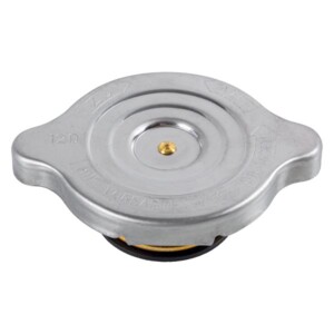 Кришка радіатора Mercedes 508D-814D OM-314-364 02359