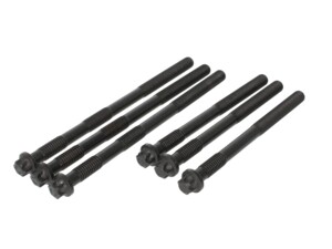 Комплект болтів головки блока MAN TGA D2866/76 M15x2x198/260 20080228767