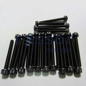 Комплект болтів головки блока Mercedes 609D-814 OM364-366 820.075