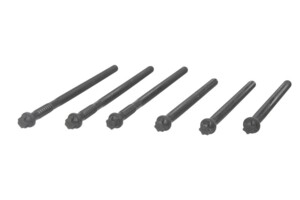 Комплект болтів головки блока MAN TGA D2866/76 M15x2x198/260 015.920