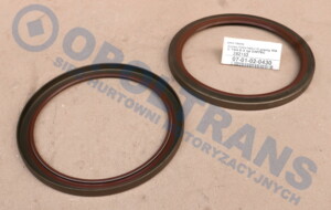 Сальник ступицы MAN TGA-S-X зад 132x160x10 07-01-02-0430