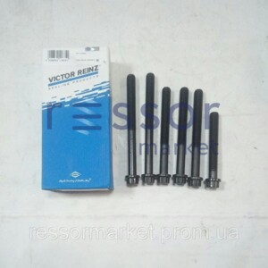 Комплект болтів головки блока MAN D2866 M15x2x140 14-32064-02