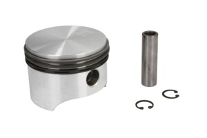 Поршень компрессора d-88.25mm 7000 881 101